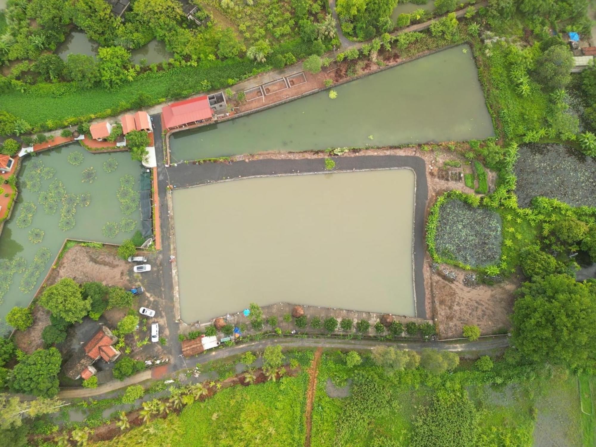 Tam Coc Cat Luong Homestay Нин Бин Екстериор снимка